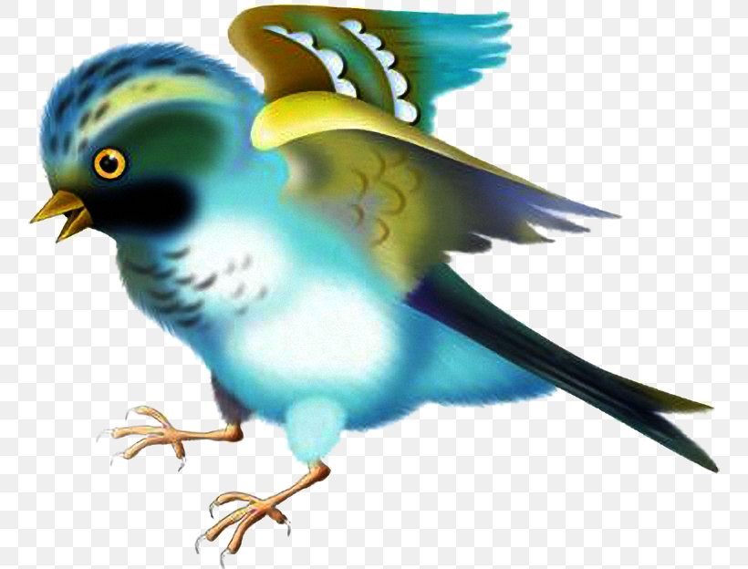 Feather Parakeet Desktop Wallpaper Teal Beak, PNG, 758x624px, Feather, Beak, Bird, Bluebird, Common Pet Parakeet Download Free