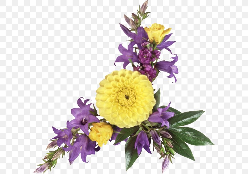 Flower Yellow Purple Clip Art, PNG, 600x577px, Flower, Actor, Annual Plant, Aster, Chrysanths Download Free