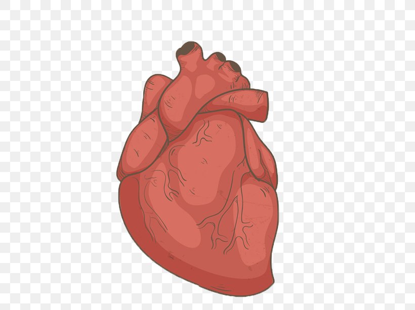 Hand Drawn Human Heart, PNG, 700x613px, Watercolor, Cartoon, Flower, Frame, Heart Download Free