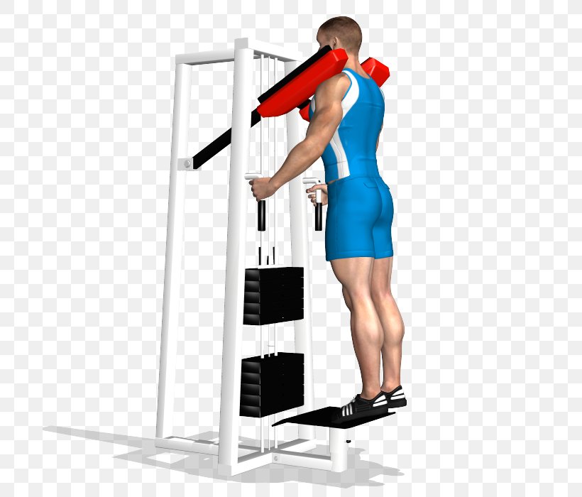 Physical Fitness Exercise Calf Raises Fitness Centre, PNG, 700x700px, Physical Fitness, Abdominal Exercise, Arm, Balance, Cable Machine Download Free