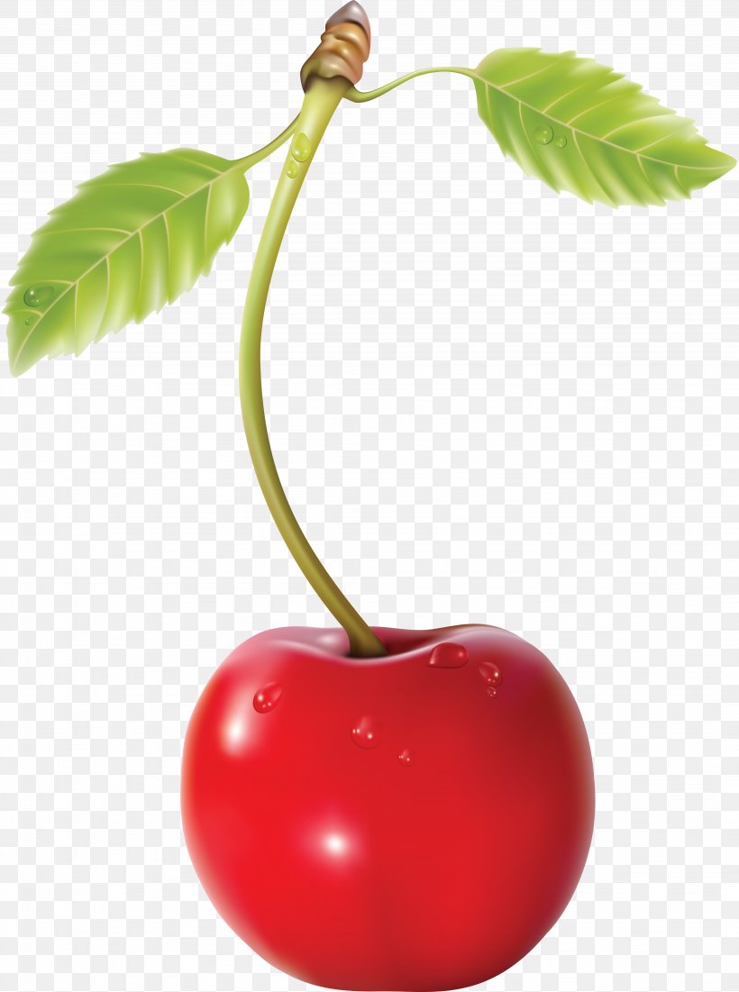 Cherry Pie Cherry Blossom, PNG, 4096x5504px, Cherry Pie, Berry, Blossom, Cherry, Cherry Blossom Download Free