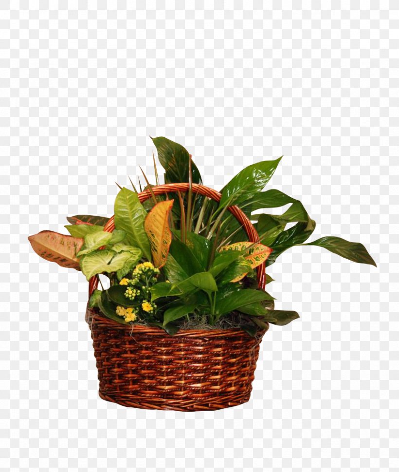 Food Gift Baskets Cut Flowers Floristry Houseplant Leaf, PNG, 846x1000px, Food Gift Baskets, Basket, Cut Flowers, Floristry, Flower Download Free