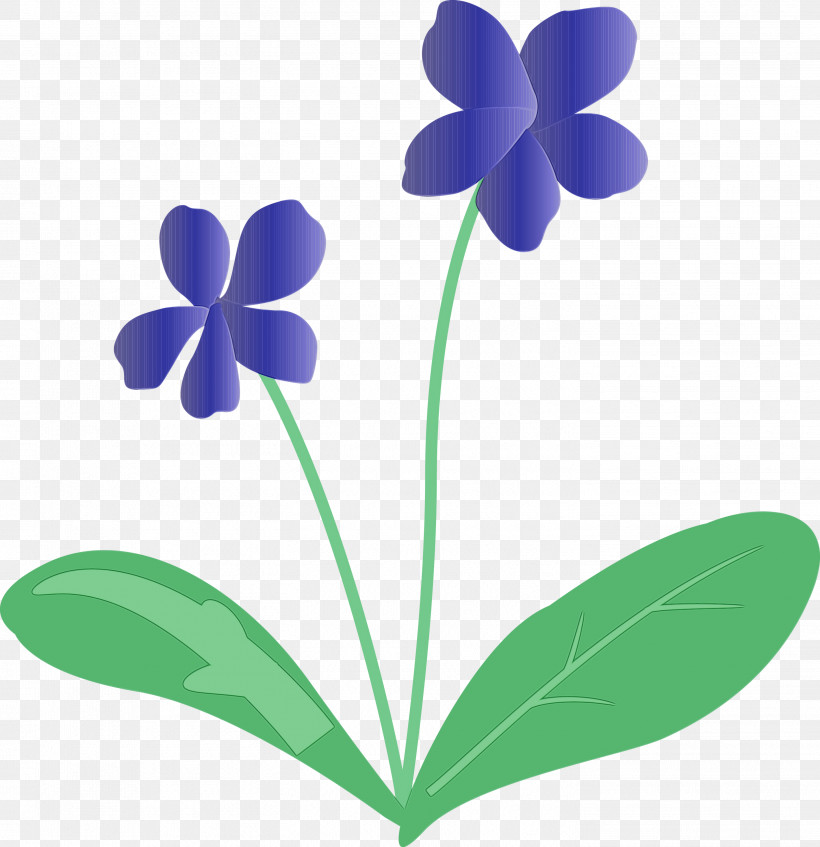 Plant Stem Flower Leaf Petal Flora, PNG, 2902x3000px, Violet Flower, Biology, Flora, Flower, Leaf Download Free