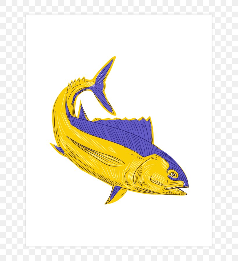 Albacore Yellowfin Tuna Drawing Atlantic Bluefin Tuna, PNG, 740x900px, Albacore, Atlantic Bluefin Tuna, Atlantic Bonito, Bonito, Drawing Download Free