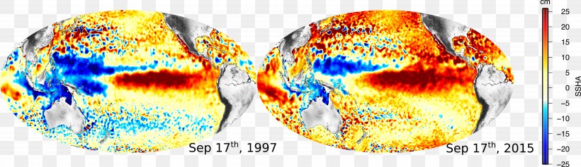 Corriente Del Niño Phenomenon Science Meteorology, PNG, 7690x2223px, El Nino, Climate, Climate Change, Discovery, Disease Download Free