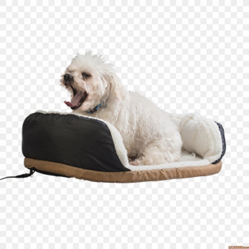 Dog Breed Pet Cat Amazon.com, PNG, 1200x1200px, Dog, Amazoncom, Animal, Bed, Cat Download Free