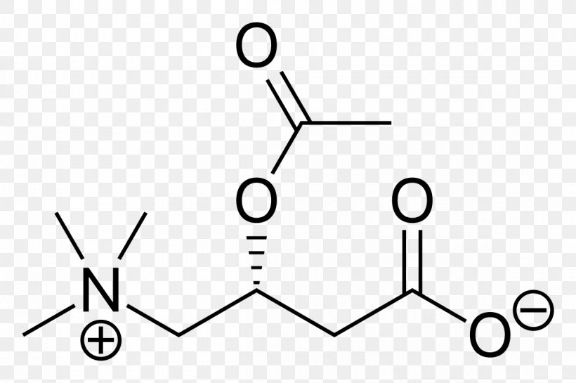 Gamma-Aminobutyric Acid Amino Acid Neurotransmitter Chemical Compound, PNG, 1200x799px, Gammaaminobutyric Acid, Acetylcarnitine, Acid, Amino Acid, Area Download Free