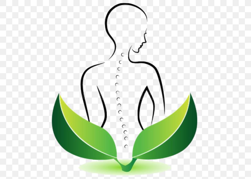 Green Leaf Logo Plant Meditation, PNG, 541x587px, Green, Leaf, Logo, Meditation, Plant Download Free