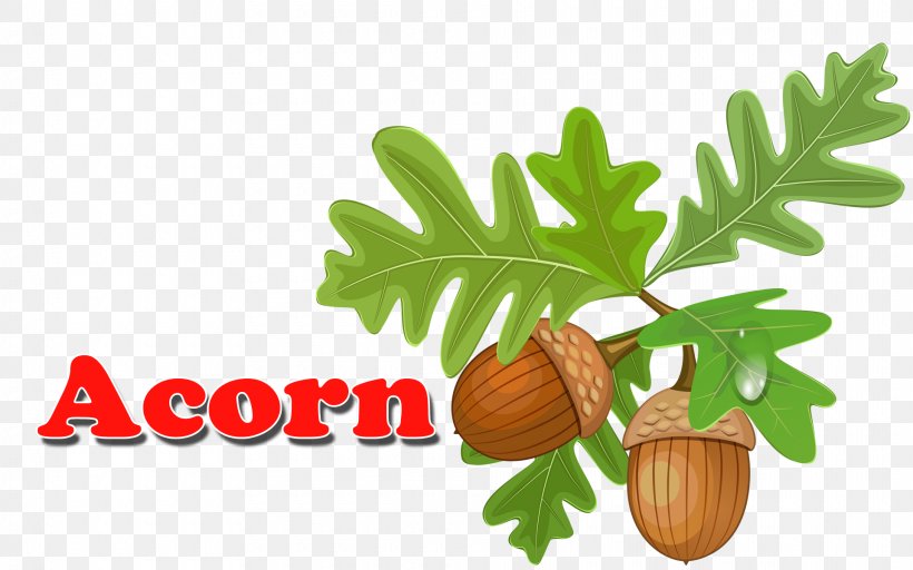 Pre-school Clip Art, PNG, 1920x1200px, Preschool, Acorn, Child, Education, Food Download Free