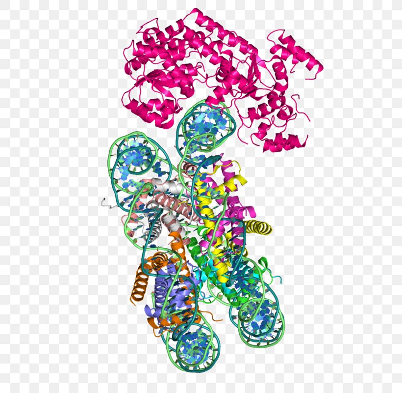 SWI/SNF Chromatin Structure Remodeling (RSC) Complex Chromatin Remodeling Nucleosome Protein Domain, PNG, 800x800px, Nucleosome, Art, Atpase, Biology, Body Jewelry Download Free