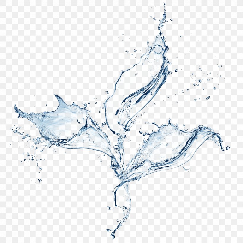 Water Desktop Wallpaper Liquid, PNG, 1750x1750px, Water, Artwork, Black And White, Branch, Chemical Polarity Download Free