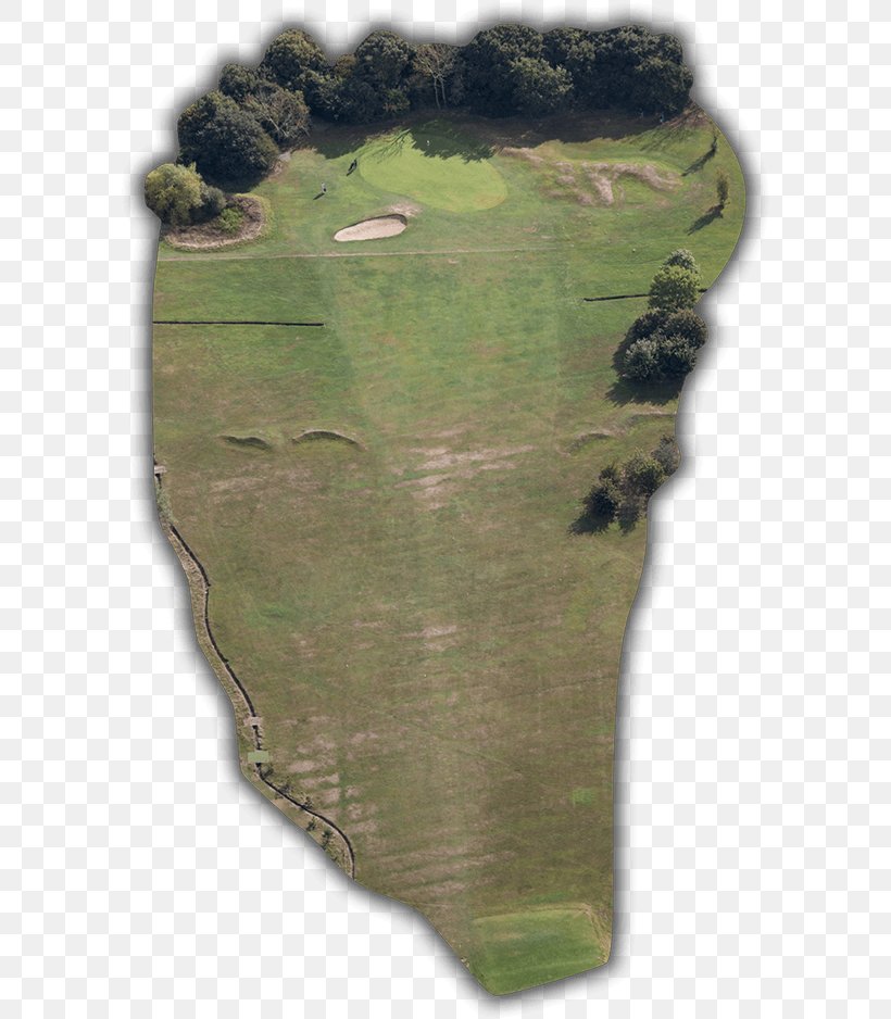 Golf Course Hazard Par Southsea Golf Club (Portsmouth, Great Salterns), PNG, 600x938px, Golf, Golf Course, Grass, Hazard, High Five Download Free