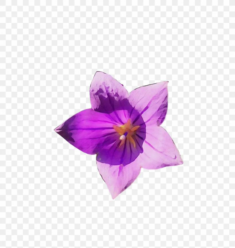 Lavender, PNG, 960x1013px, Watercolor, Biology, Crocus, Crocus M, Flower Download Free