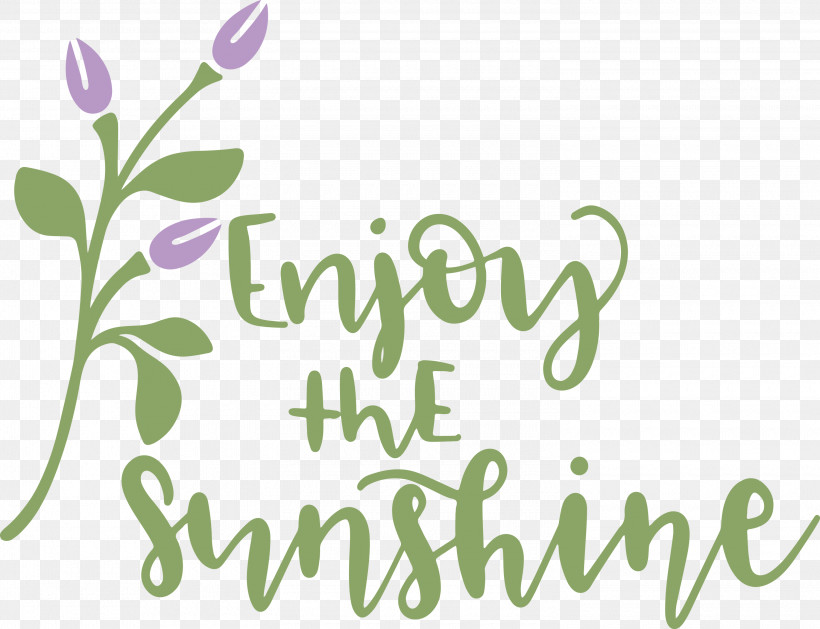Sunshine Enjoy The Sunshine, PNG, 3000x2302px, Sunshine, Floral Design, Flower, Green, Lavender Download Free
