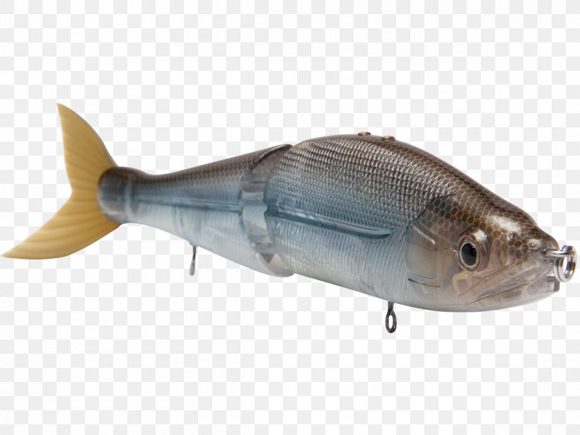 Swimbait Fishing Baits & Lures Milkfish, PNG, 1200x900px, Swimbait, Bait, Bluegill, Bonito, Bony Fish Download Free