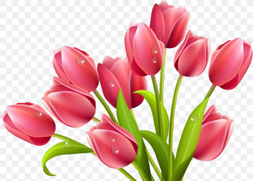 Artificial Flower, PNG, 1223x875px, Tulip, Artificial Flower, Bouquet, Bud, Cut Flowers Download Free