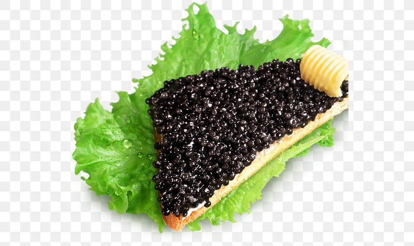 Beluga Caviar Butterbrot Pancake Starry Sturgeon, PNG, 560x488px, Caviar, Beluga Caviar, Butterbrot, Cooking, Delicacy Download Free