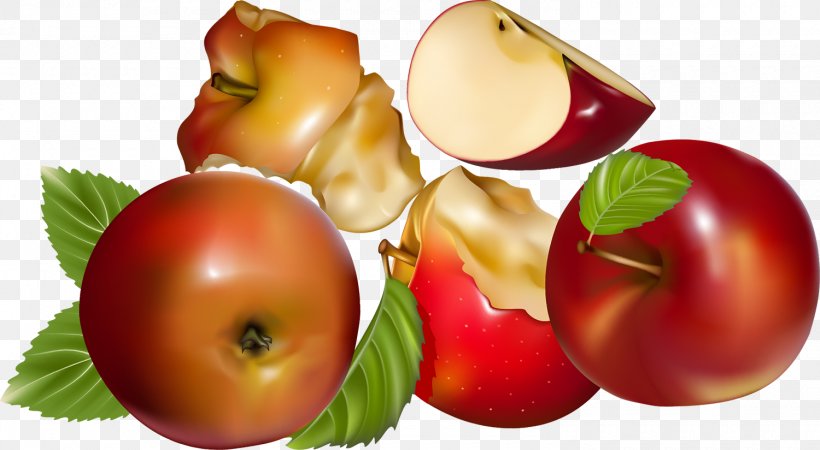Berry Fruit, PNG, 1500x824px, Royaltyfree, Apple, Diet Food, Drawing, Food Download Free