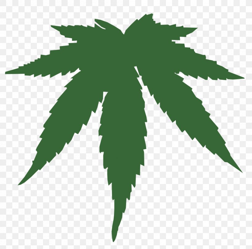 Medical Cannabis Hemp Clip Art, PNG, 999x990px, Cannabis, Drawing, Drug, Flowering Plant, Hashish Download Free