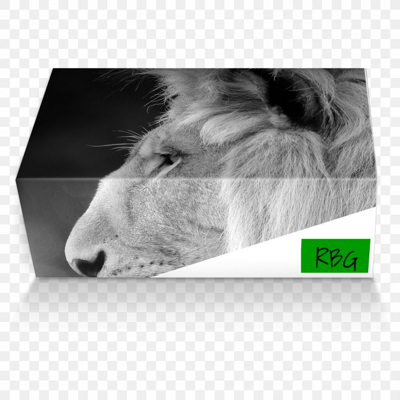Whiskers Snout Brand Rectangle, PNG, 1500x1500px, Whiskers, Big Cats, Black And White, Brand, Carnivoran Download Free