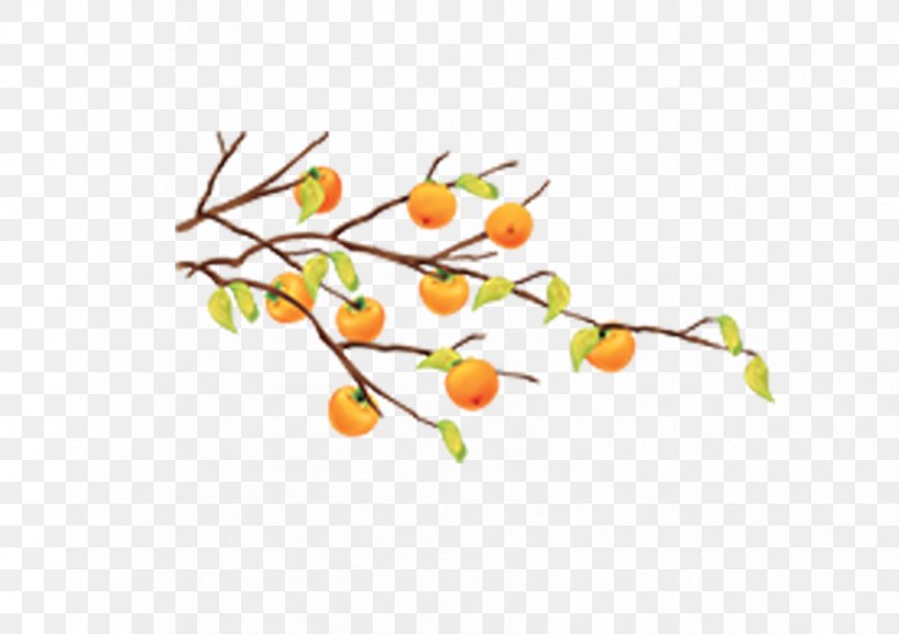 Cartoon Fruit Tree Tangerine, PNG, 842x595px, Cartoon, Auglis, Branch, Flora, Flower Download Free