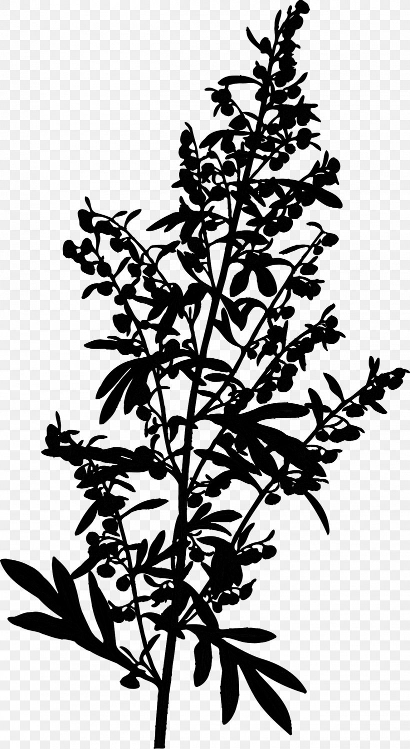 Common Wormwood Mugwort Stock Photography Medicinal Plants Image, PNG, 1314x2400px, Common Wormwood, Bitters, Blackandwhite, Botany, Branch Download Free