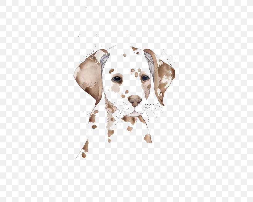 Dalmatian Dog Watercolor Painting Drawing Illustration, PNG, 600x656px, Dalmatian Dog, Art, Carnivoran, Dalmatian, Dog Download Free