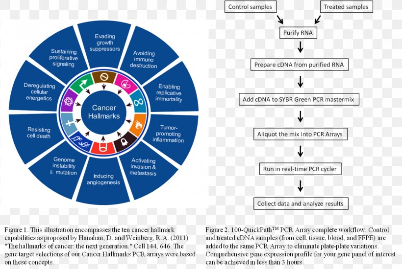 Design, PNG, 1302x874px, Royaltyfree, Basketball, Brand, Business, Diagram Download Free