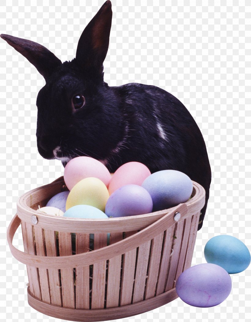 European Rabbit Leporids, PNG, 1840x2357px, European Rabbit, Domestic Rabbit, Easter, Easter Bunny, Gimp Download Free