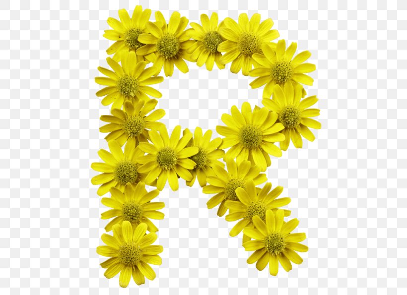 Flower Letter Typeface Typography Font, PNG, 595x595px, Flower, Alphabet, Chrysanths, Common Sunflower, Cut Flowers Download Free