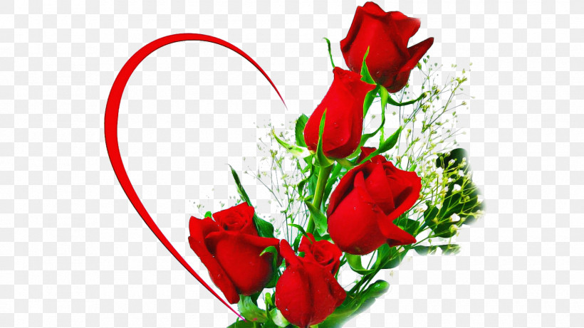 Rainbow Rose, PNG, 1600x900px, Rose, Blue Rose, Cut Flowers, Floral Design, Flower Download Free