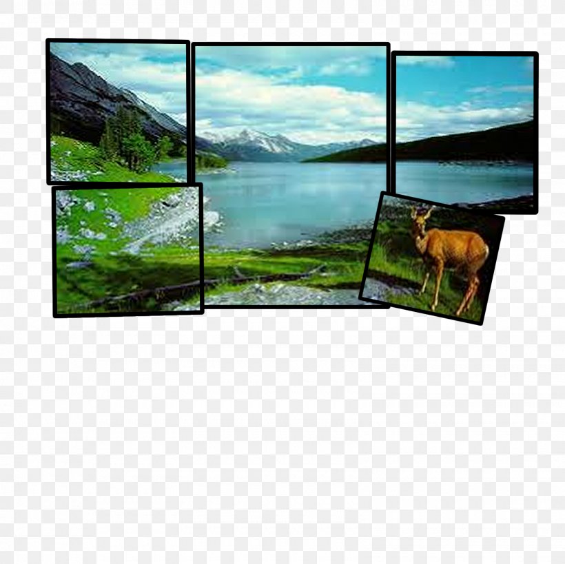 Television Landscape Display Device Ecosystem Technology, PNG, 1600x1600px, Television, Computer Monitors, Display Device, Ecosystem, Grass Download Free
