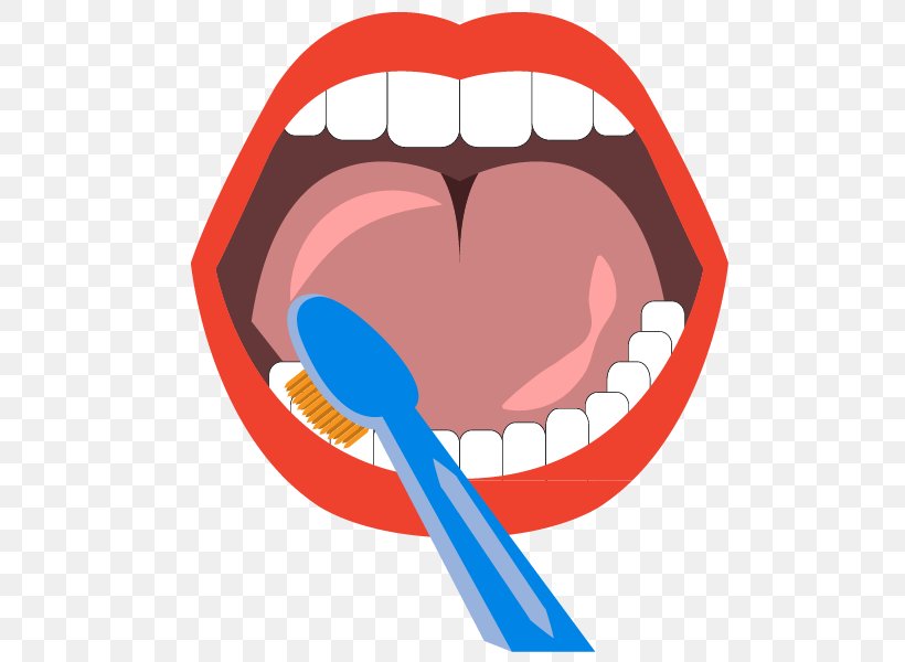 Tooth Brushing Teeth Cleaning Mouth Euclidean Vector, PNG, 600x600px, Watercolor, Cartoon, Flower, Frame, Heart Download Free