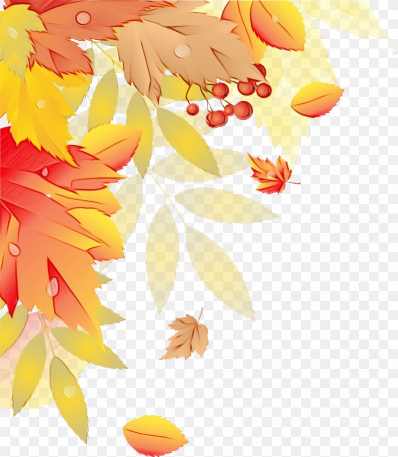 Watercolor Tree, PNG, 1042x1198px, Watercolor, Autumn, Autumn Leaf Color, Borders And Frames, Harvest Download Free