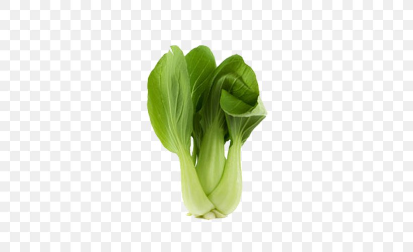 Bok Choy Chinese Cabbage Clip Art, PNG, 500x500px, Bok Choy, Basil, Chinese Cabbage, Choy Sum, Collard Greens Download Free