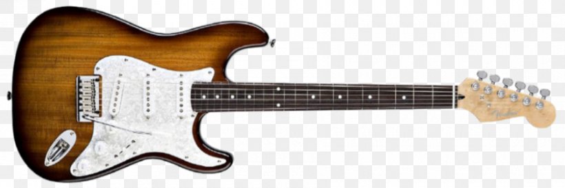 Fender Stratocaster Squier Fender Musical Instruments Corporation Electric Guitar Fingerboard, PNG, 900x300px, Fender Stratocaster, Acoustic Electric Guitar, Bass Guitar, Electric Guitar, Electronic Musical Instrument Download Free