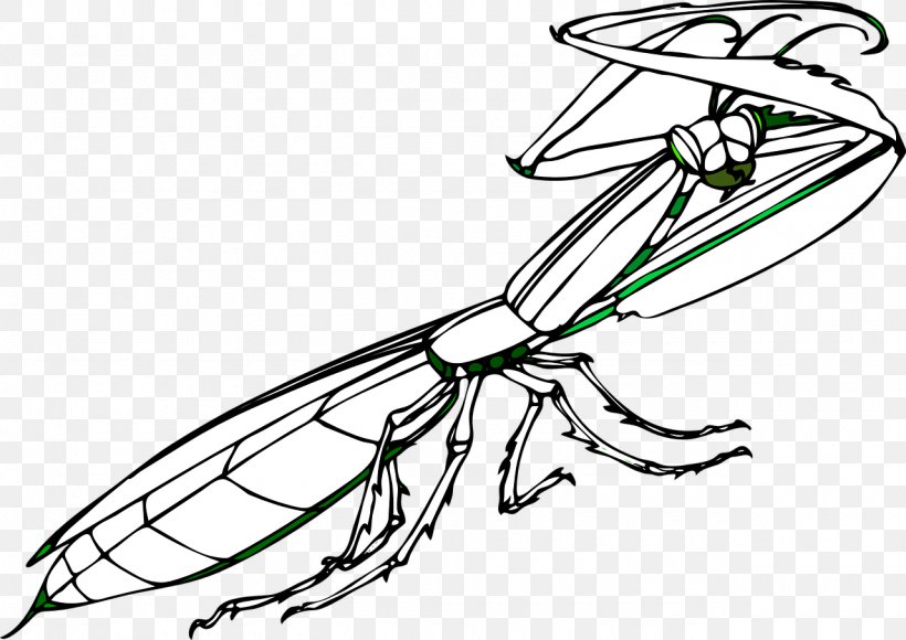 Insect Mantis Praying Clip Art, PNG, 1280x906px, Insect, Area, Artwork, Automotive Design, Black And White Download Free
