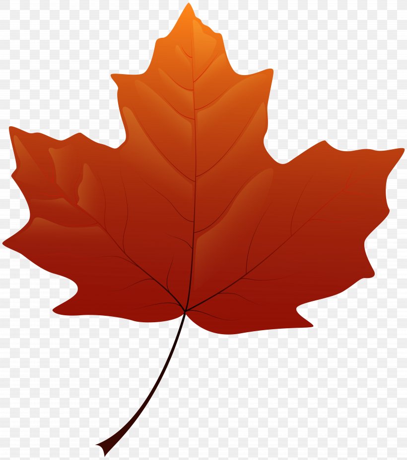 Maple Leaf Yellow Clip Art, PNG, 7090x8000px, Leaf, Autumn, Autumn Leaf Color, Flowering Plant, Green Download Free