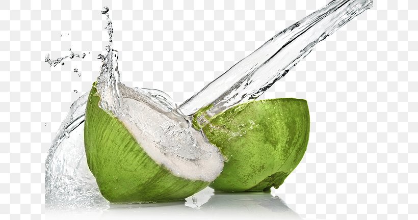 Coconut Water Sports & Energy Drinks Juice Coconut Milk, PNG, 643x432px, Coconut Water, Alcoholic Drink, Avocado, Beverages, Coconut Download Free