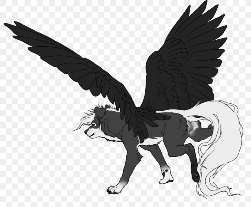 Drawing キリバン I'll Be Here For You DeviantArt Feather, PNG, 900x744px, Drawing, Beak, Bird, Bird Of Prey, Black And White Download Free