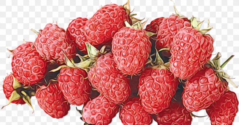 Fruit Cartoon, PNG, 1200x630px, Strawberry, Accessory Fruit, Anthurium, Berries, Berry Download Free