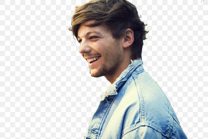 Louis Tomlinson Midnight Memories One Direction Musician, PNG, 1095x730px, Watercolor, Cartoon, Flower, Frame, Heart Download Free