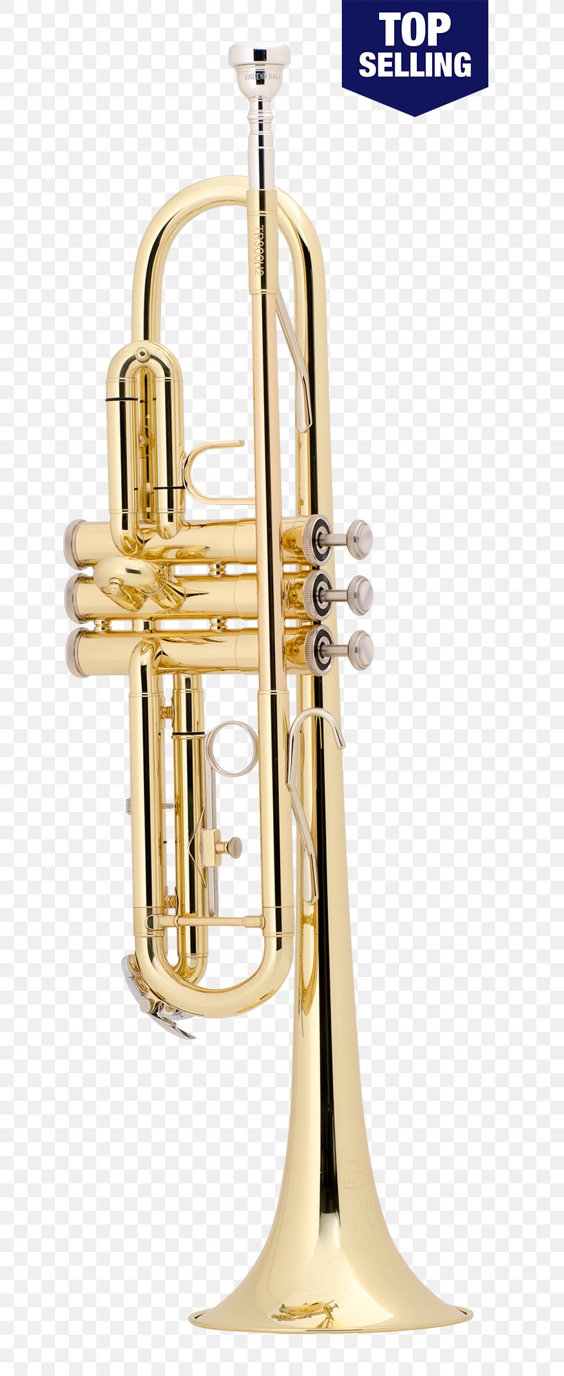 Saxhorn Stradivarius Trumpet Vincent Bach Corporation Brass Instruments, PNG, 700x2000px, Saxhorn, Alto Horn, Bore, Brass, Brass Instrument Download Free
