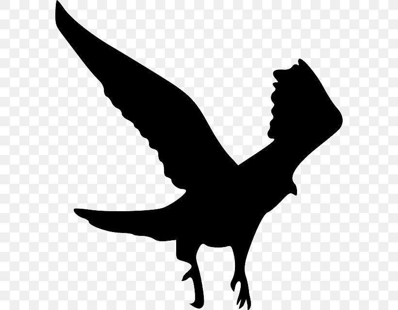 Eagle Clip Art, PNG, 592x640px, Eagle, Beak, Bird, Bird Of Prey, Black And White Download Free