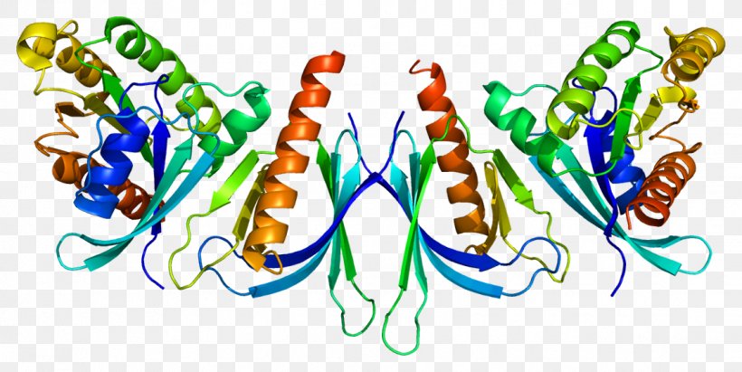 EXOC8 Exocyst Complex Component 8 Gene RALB, PNG, 1133x569px, Gene, Art, Entrez, Genecards, Genetics Download Free