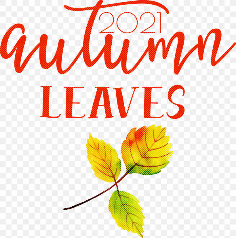 Autumn Leaves Autumn Fall, PNG, 2972x2999px, Autumn Leaves, Autumn, Biology, Cut Flowers, Fall Download Free