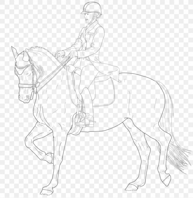 Bridle Mustang Rein Halter Pack Animal, PNG, 882x905px, Bridle, Arm, Art, Artwork, Black And White Download Free