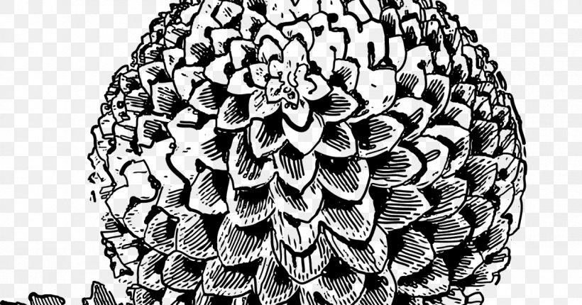 Drawing Doodle Portrait Art, PNG, 1200x630px, Drawing, Art, Black And White, Doodle, Floral Design Download Free