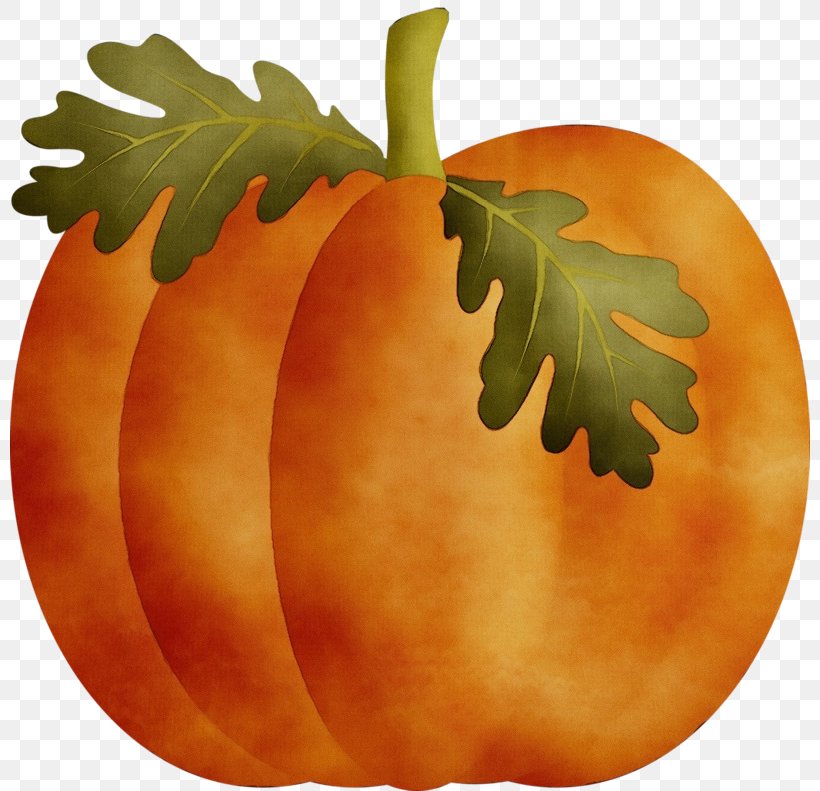 Pumpkin, PNG, 800x791px, Watercolor, Acorn, Calabaza, Cucurbita, Fruit Download Free