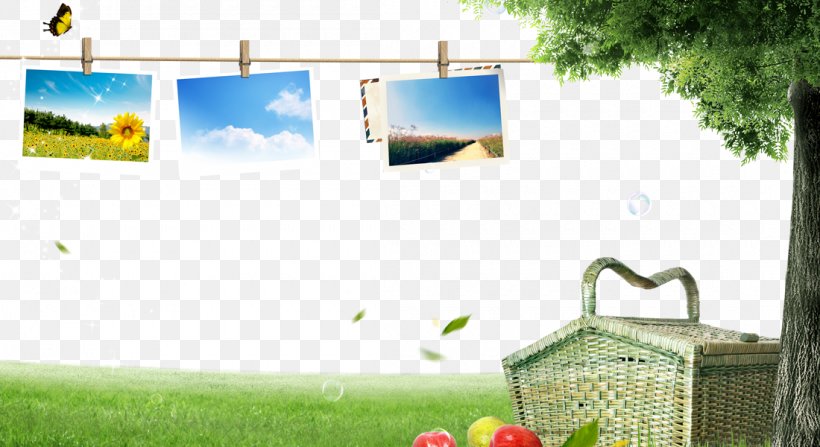 Tree, PNG, 1100x600px, Tree, Advertising, Bonsai, Brand, Designer Download Free